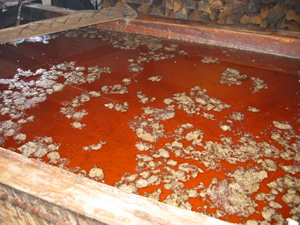 Oolichan Grease floating on water